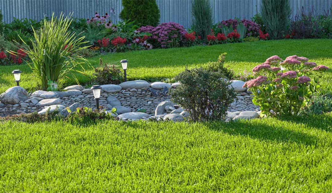 Save 20% Water, Keep Your Lawn