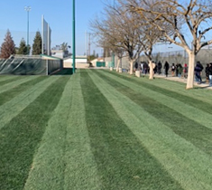 Baseball field of bermuda grass