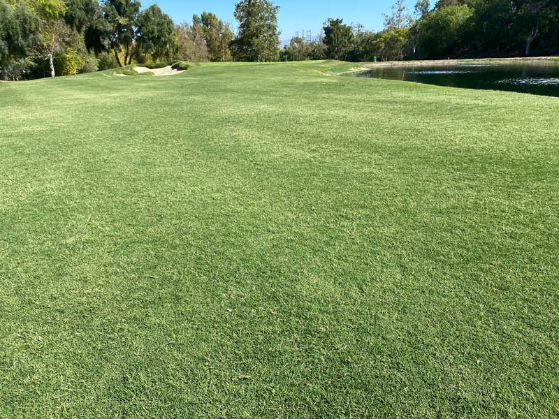 Fairway view of Valencia Country Club Golf Course